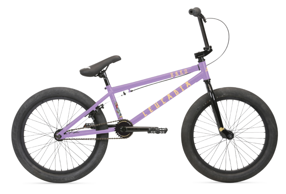 【引き取り限定】HARO LEUCADIA BMX 黒 Haro Leucadia Bike — Albe's BMX
