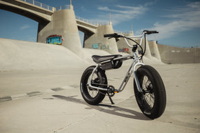 Meet the New Crew Dart