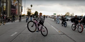 Eastern Bikes Wolfdog BMX Bike