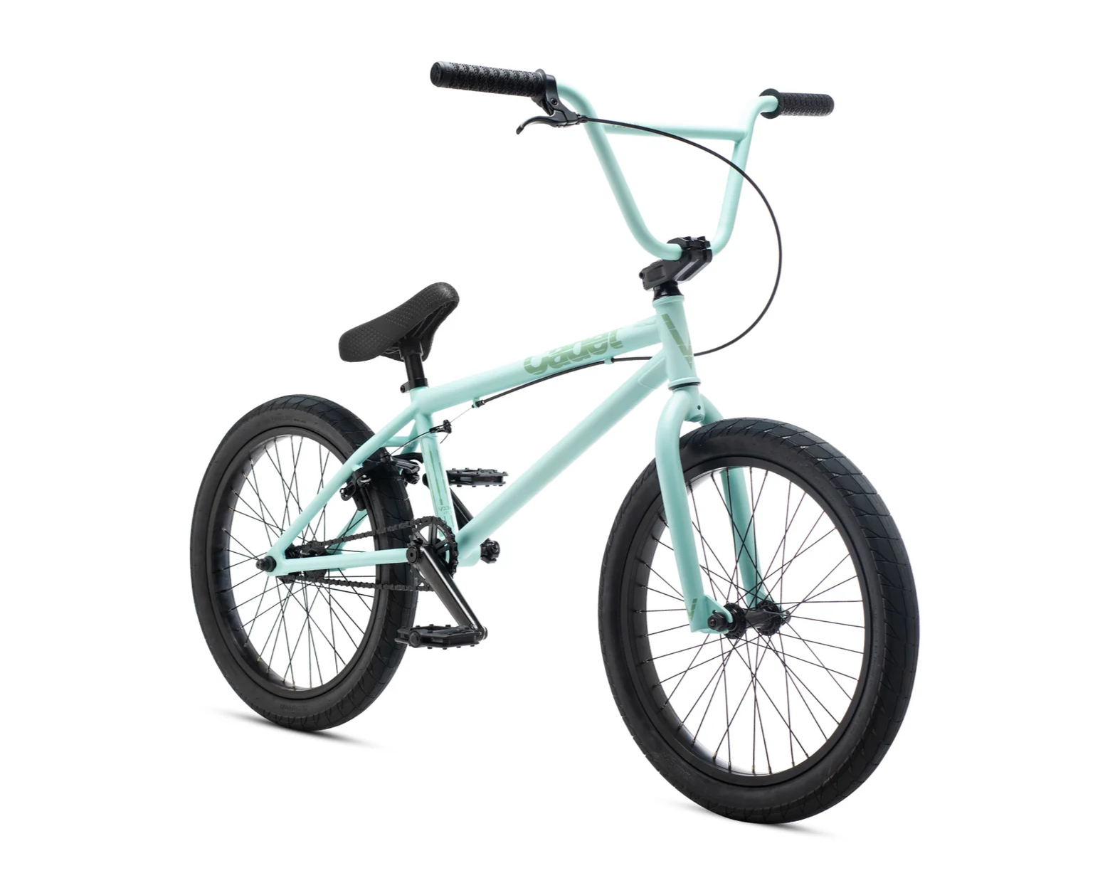 Mint