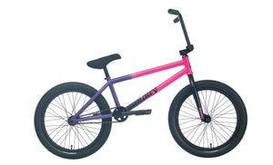 Pink/Purple