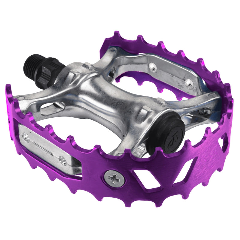 Silver/Purple