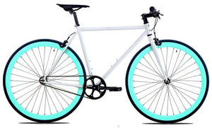 White/Celeste
