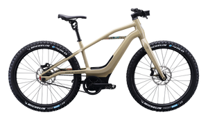 Macfox X1S x Bs.zay Electric Bike