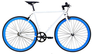 White/Blue