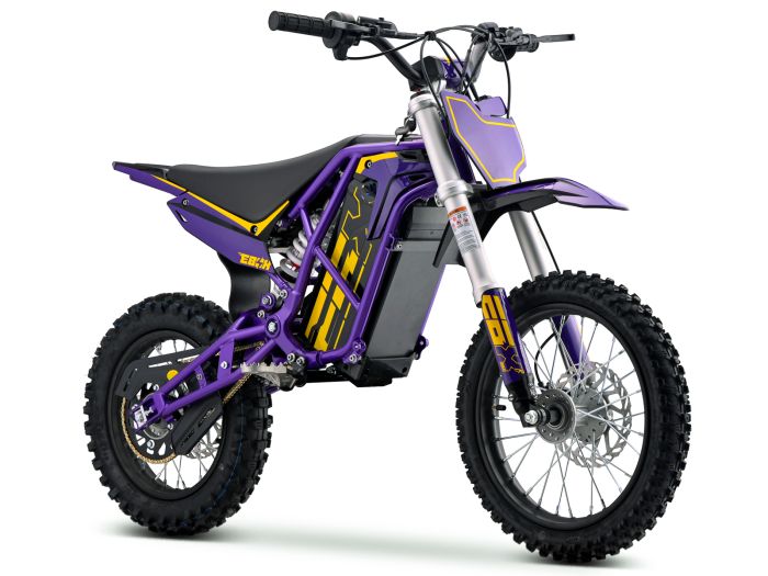 Purple/Gold