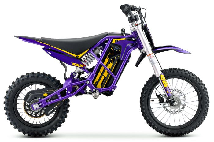 Purple/Gold
